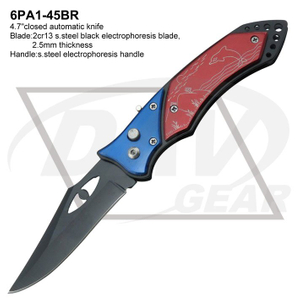 6PA1-45BR