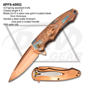 6PF9-45RG